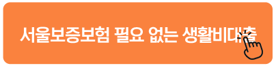 서울보증보험 필요 없는 생활비대출 - 생활비대출