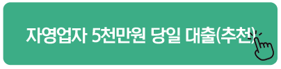 자영업자 5천만원 당일 대출(추천)