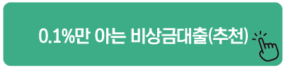 0.1%만 아는 비상금대출(추천)