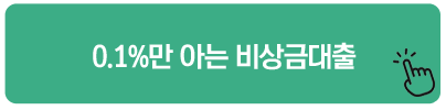0.1%만 아는 비상금대출