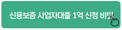 신용보증 사업자대출 1억 신청 비법 고령자 계속고용장려금