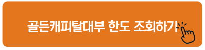 골든캐피탈대부 한도 조회하기 대부업체 신규대출