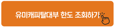 유미캐피탈대부 한도 조회하기 대부업체 신규대출